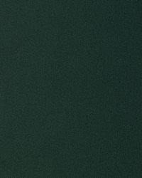 KRAVET BASICS 37578 550 by  Kravet 