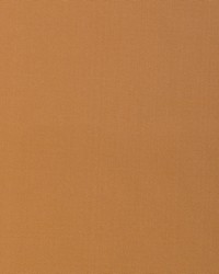 KRAVET BASICS 37578 6666 by  Kravet 