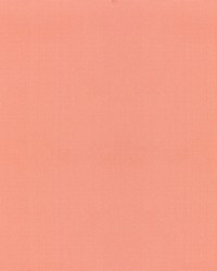 KRAVET BASICS 37578 7 by  Kravet 