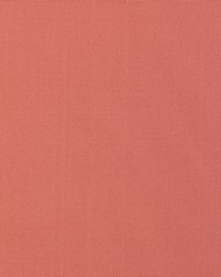 KRAVET BASICS 37578 77 by  Kravet 