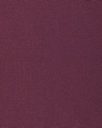 KRAVET BASICS 37578 9797 by  Kravet 