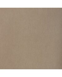 Tempo 37696 1101 Oyster by   