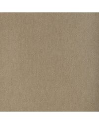 Tempo 37696 1116 Canvas by   