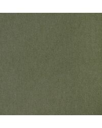 Tempo 37696 130 Pistachio by   