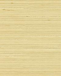 3808 1116  by  Kravet 