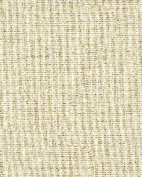 3922 411  by  Kravet 