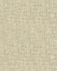 4017 1116  by  Kravet 