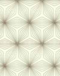 4029 11  by  Kravet 