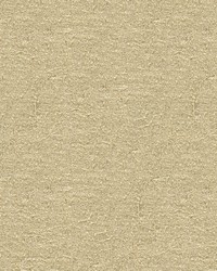 4114 1116  by  Kravet 