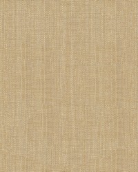 4118 16  by  Kravet 