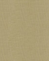 4125 16  by  Kravet 