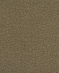 Moreno 4276 6 Bronze by  Kravet 