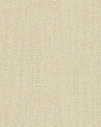 4516 1 by  Kravet 