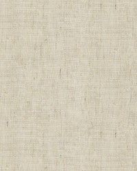 4541 116  by  Kravet 