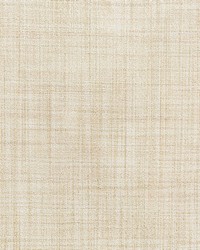 KRAVET BASICS 4650 1 by  Kravet 