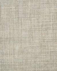 KRAVET BASICS 4650 135 by  Kravet 