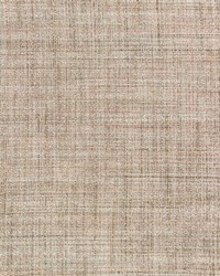 Clive 4650 1611 Abalone by  Kravet 