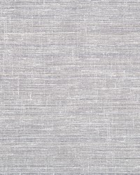 Willa 4662 11 Pewter by  Kravet 