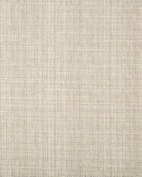 KRAVET BASICS 4665 11 by  Kravet 