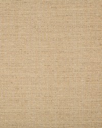 KRAVET BASICS 4665 1616 by  Kravet 