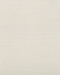 KRAVET BASICS 4667 101 by  Kravet 