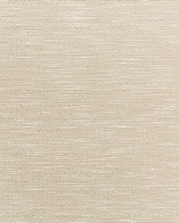 KRAVET BASICS 4667 116 by  Kravet 