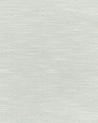 KRAVET BASICS 4667 15 by  Kravet 