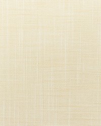 KRAVET BASICS 4668 111 by  Kravet 