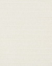 KRAVET BASICS 4673 1 by  Kravet 