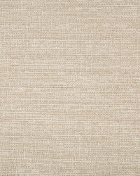 KRAVET BASICS 4673 16 by  Kravet 
