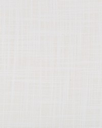 KRAVET BASICS 4674 101 by  Kravet 