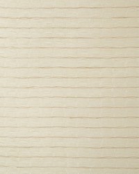 KRAVET BASICS 4678 1 by  Kravet 