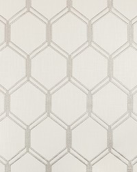 KRAVET BASICS 4686 1 by  Kravet 