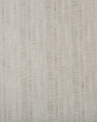 KRAVET BASICS 4693 11 by  Kravet 