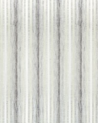 Panoramic 4820 21 Haze by   