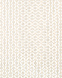 Fresh Air 4823 1 Parchment by   