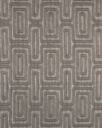 Bewilder 4834 86 Bark by   