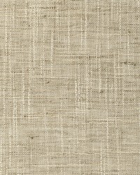 KRAVET BASICS 4853 116 by  Kravet 