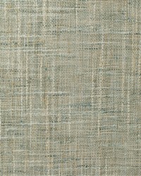 KRAVET BASICS 4853 135 by  Kravet 
