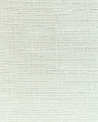 Shimmer Way 4888 1 Platinum by  Kravet 