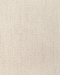 KRAVET DRAPERY 4916 161 by  Kravet 