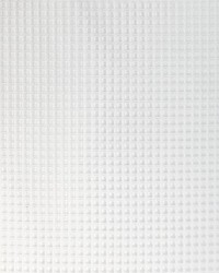 KRAVET BASICS 4935 1 by  Kravet 