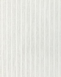 KRAVET BASICS 4937 1 by  Kravet 