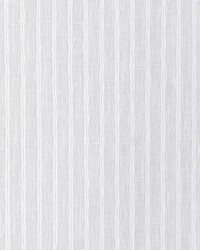 KRAVET BASICS 4937 101 by  Kravet 