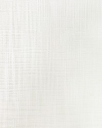 KRAVET BASICS 4938 1 by  Kravet 