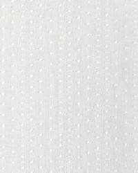 KRAVET BASICS 4948 1 by  Kravet 