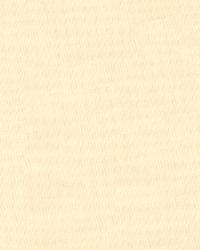 8790 1000  by  Kravet 