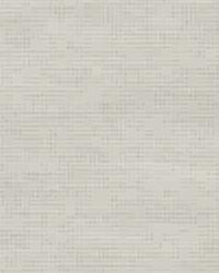 8790 1111  by  Kravet 