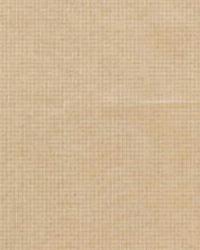 Strie Satin Sheer 8880 16 Amber by  Kravet 