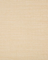 KRAVET BASICS 9789 116 by  Kravet 